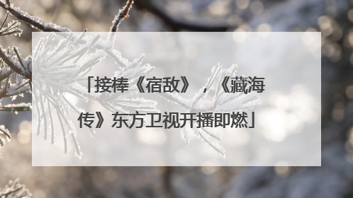 接棒《宿敌》，《藏海传》东方卫视开播即燃