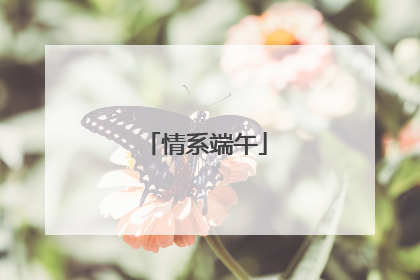 情系端午