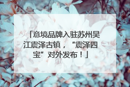 意境品牌入驻苏州吴江震泽古镇，“震泽四宝”对外发布！