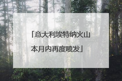 意大利埃特纳火山本月内再度喷发