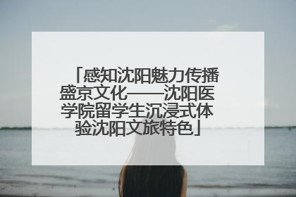 感知沈阳魅力传播盛京文化——沈阳医学院留学生沉浸式体验沈阳文旅特色