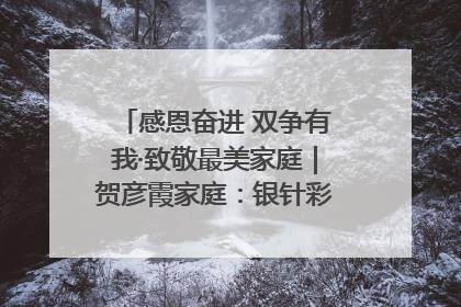 感恩奋进 双争有我·致敬最美家庭｜贺彦霞家庭：银针彩线绣出好日子