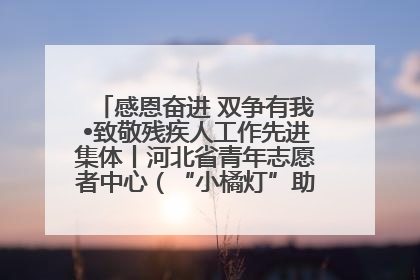 感恩奋进 双争有我•致敬残疾人工作先进集体丨河北省青年志愿者中心（“小橘灯”助残接力计划实施团队）：用温暖陪伴，守护特殊孩子成长