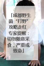 成都野生菌“打野”攻略走红 专家提醒：切勿随意采食，严重或致命