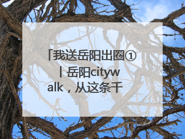 我送岳阳出圈①丨岳阳citywalk，从这条千年老街开始！