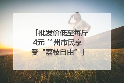 批发价低至每斤4元 兰州市民享受“荔枝自由”