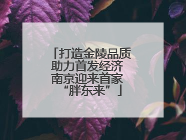 打造金陵品质 助力首发经济 南京迎来首家“胖东来”