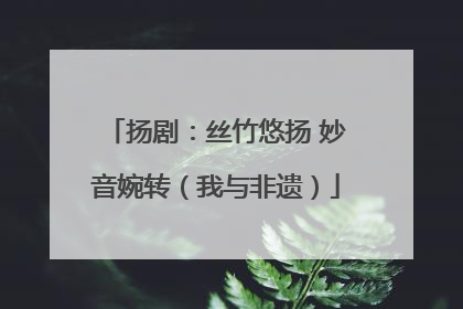 扬剧：丝竹悠扬 妙音婉转（我与非遗）