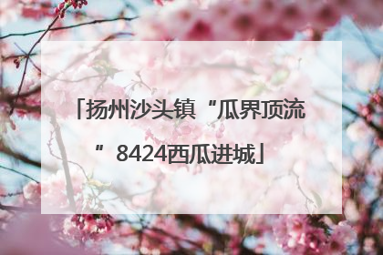 扬州沙头镇“瓜界顶流”8424西瓜进城