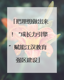 把理想做出来！“成长力引擎”赋能江汉教育强区建设