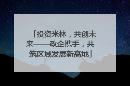 投资米林，共创未来——政企携手，共筑区域发展新高地