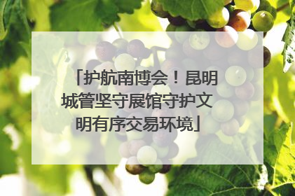 护航南博会！昆明城管坚守展馆守护文明有序交易环境