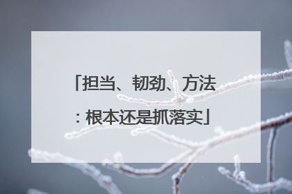 担当、韧劲、方法：根本还是抓落实