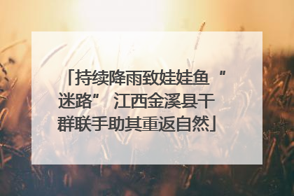 持续降雨致娃娃鱼“迷路” 江西金溪县干群联手助其重返自然