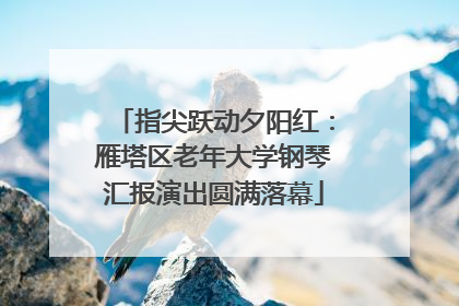 指尖跃动夕阳红：雁塔区老年大学钢琴汇报演出圆满落幕