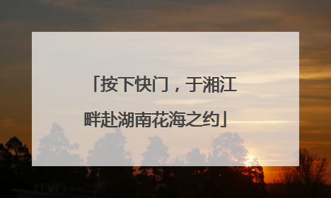 按下快门，于湘江畔赴湖南花海之约