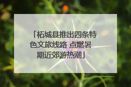 柘城县推出四条特色文旅线路 点燃暑期近郊游热潮