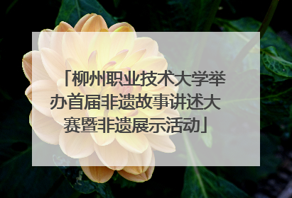 柳州职业技术大学举办首届非遗故事讲述大赛暨非遗展示活动