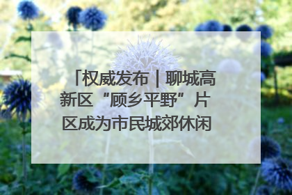 权威发布｜聊城高新区“顾乡平野”片区成为市民城郊休闲全新目的地