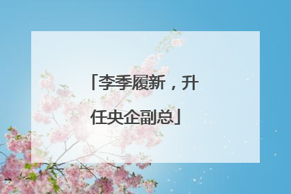 李季履新，升任央企副总
