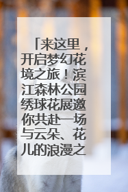 来这里，开启梦幻花境之旅！滨江森林公园绣球花展邀你共赴一场与云朵、花儿的浪漫之约