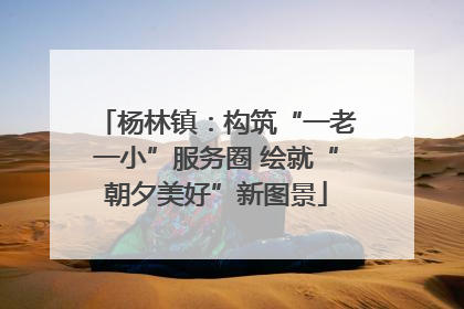 杨林镇：构筑“一老一小”服务圈 绘就“朝夕美好”新图景