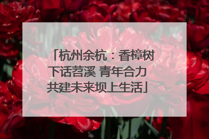 杭州余杭：香樟树下话苕溪 青年合力共建未来坝上生活