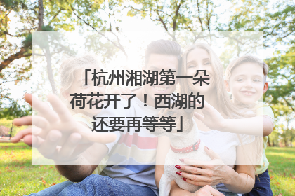 杭州湘湖第一朵荷花开了！西湖的还要再等等