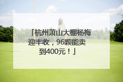 杭州萧山大棚杨梅迎丰收，96颗能卖到400元！