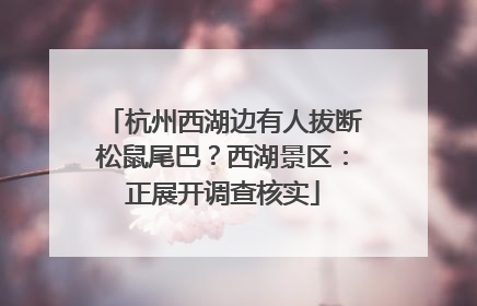 杭州西湖边有人拔断松鼠尾巴？西湖景区：正展开调查核实