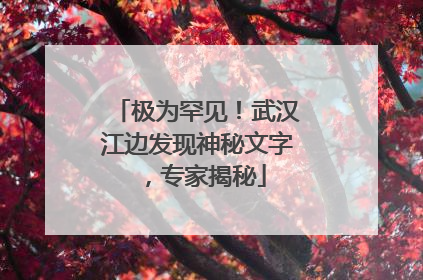 极为罕见！武汉江边发现神秘文字，专家揭秘
