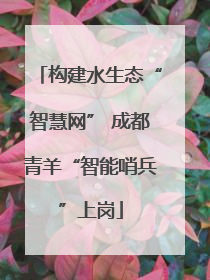 构建水生态“智慧网” 成都青羊“智能哨兵”上岗