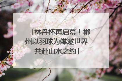 林丹杯再启幕！郴州以羽球为媒邀世界共赴山水之约