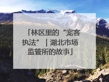 林区里的“宠客执法”｜湖北市场监管所的故事