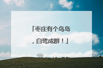 枣庄有个鸟岛，白鹭成群！