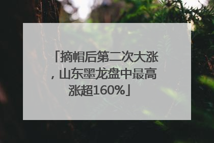 摘帽后第二次大涨，山东墨龙盘中最高涨超160%