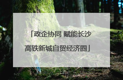 政企协同 赋能长沙高铁新城自贸经济圈