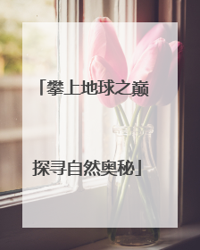 攀上地球之巅 探寻自然奥秘