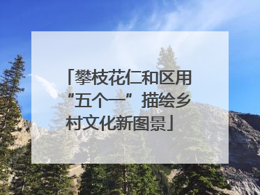 攀枝花仁和区用“五个一”描绘乡村文化新图景