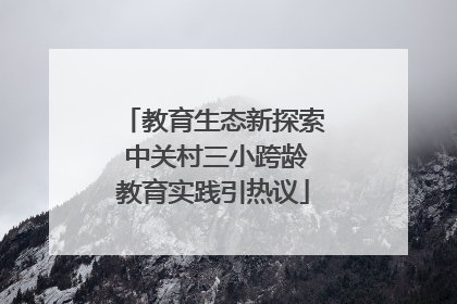 教育生态新探索 中关村三小跨龄教育实践引热议