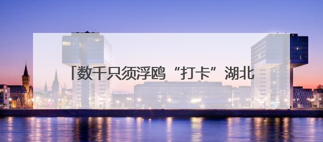 数千只须浮鸥“打卡”湖北枝江金湖 尽显生态美景
