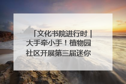 文化书院进行时｜大手牵小手！植物园社区开展第三届迷你马拉松活动