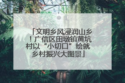 文明乡风浸润山乡！广信区田墩镇黄坑村以“小切口”绘就乡村振兴大图景