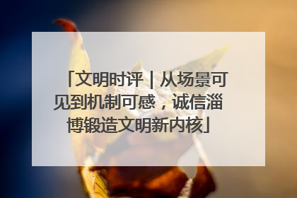 文明时评｜从场景可见到机制可感，诚信淄博锻造文明新内核