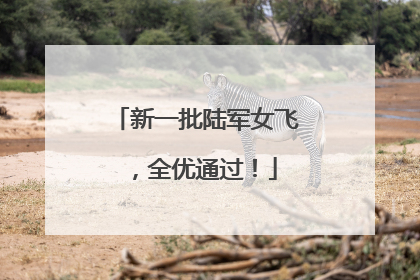 新一批陆军女飞，全优通过！