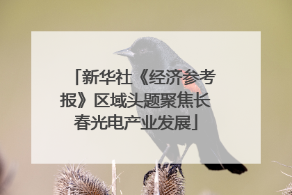 新华社《经济参考报》区域头题聚焦长春光电产业发展