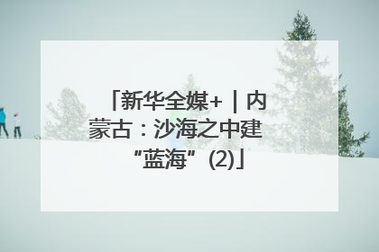 新华全媒+｜内蒙古：沙海之中建“蓝海”(2)
