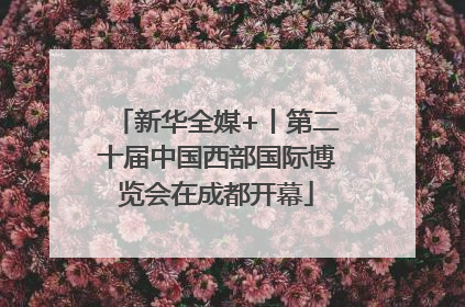 新华全媒+丨第二十届中国西部国际博览会在成都开幕