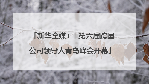 新华全媒+丨第六届跨国公司领导人青岛峰会开幕