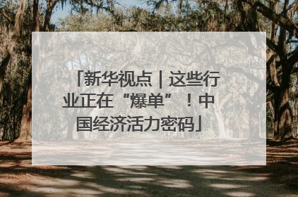 新华视点｜这些行业正在“爆单”！中国经济活力密码